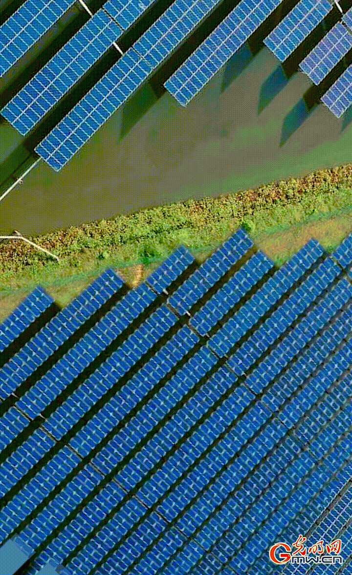 动态海报丨数读《2021中国统计摘要》：中国经济恢复走在世界前列