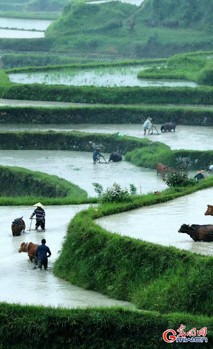 动态海报丨数读《2021中国统计摘要》：中国经济恢复走在世界前列