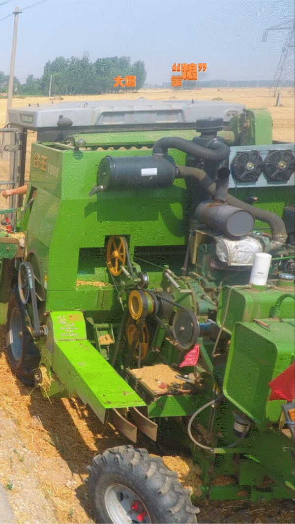 【大国“粮”策】19万台稻麦联合收割机上阵! 山东6003万亩小麦归仓 【大国“粮”策】19万台稻麦联合收割机上阵! 山东6003万亩小麦归仓