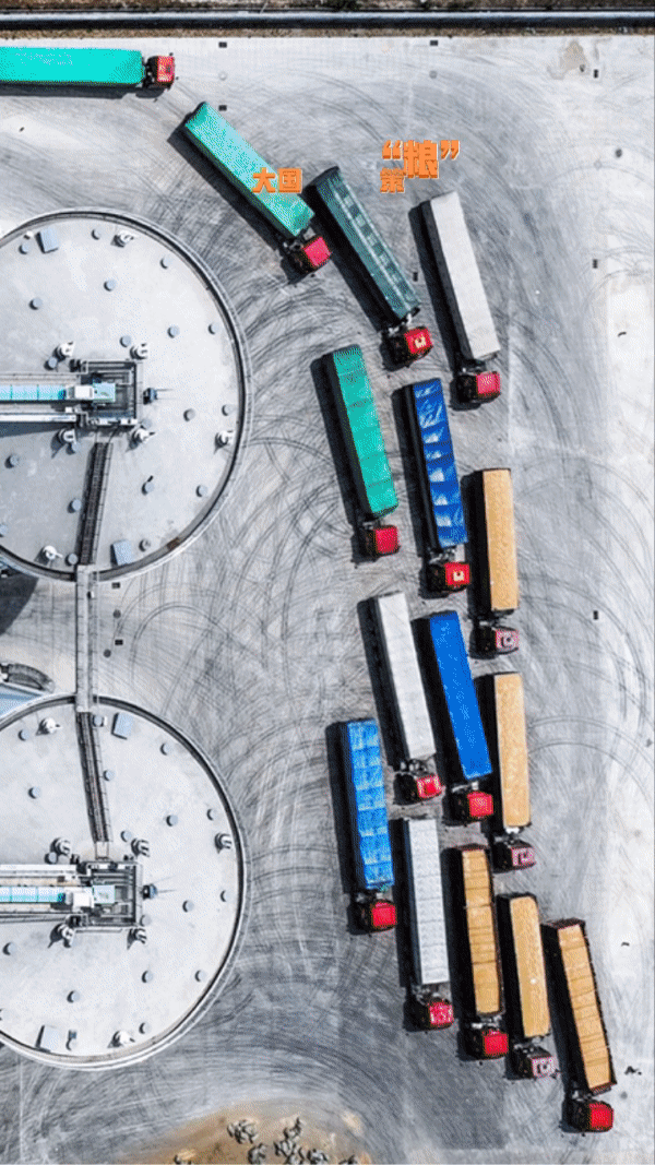 【大国“粮”策】19万台稻麦联合收割机上阵! 山东6003万亩小麦归仓 【大国“粮”策】19万台稻麦联合收割机上阵! 山东6003万亩小麦归仓