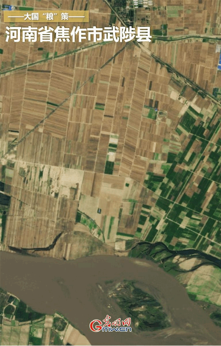 【大国“粮”策】卫星新闻丨万米高空看夏收 全国夏粮有望实现“19连丰” 【大国“粮”策】卫星新闻丨万米高空看夏收 全国夏粮有望实现“19连丰”