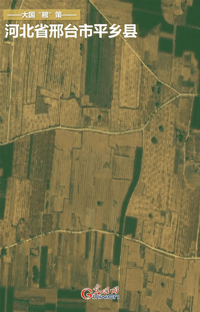 【大国“粮”策】卫星新闻丨万米高空看夏收 全国夏粮有望实现“19连丰” 【大国“粮”策】卫星新闻丨万米高空看夏收 全国夏粮有望实现“19连丰”