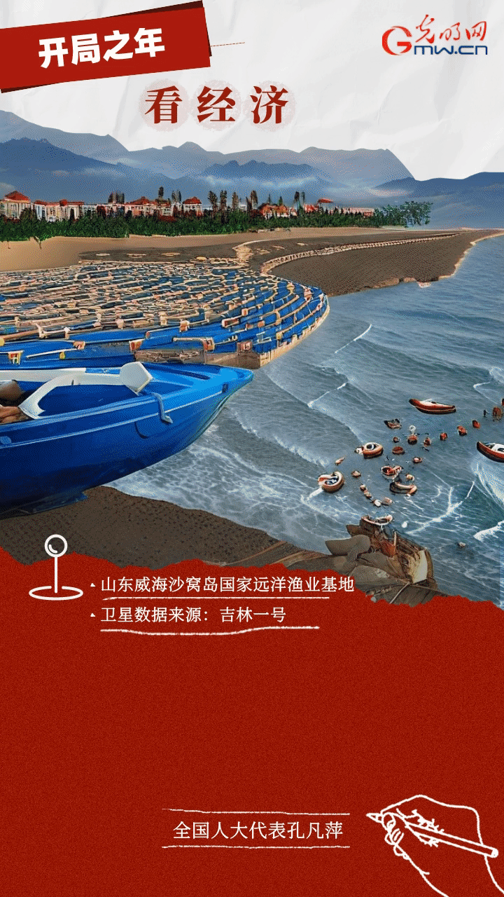 【开局之年看经济·卫星“动”画】代表委员聚焦“新动能” 共促经济高质量发展