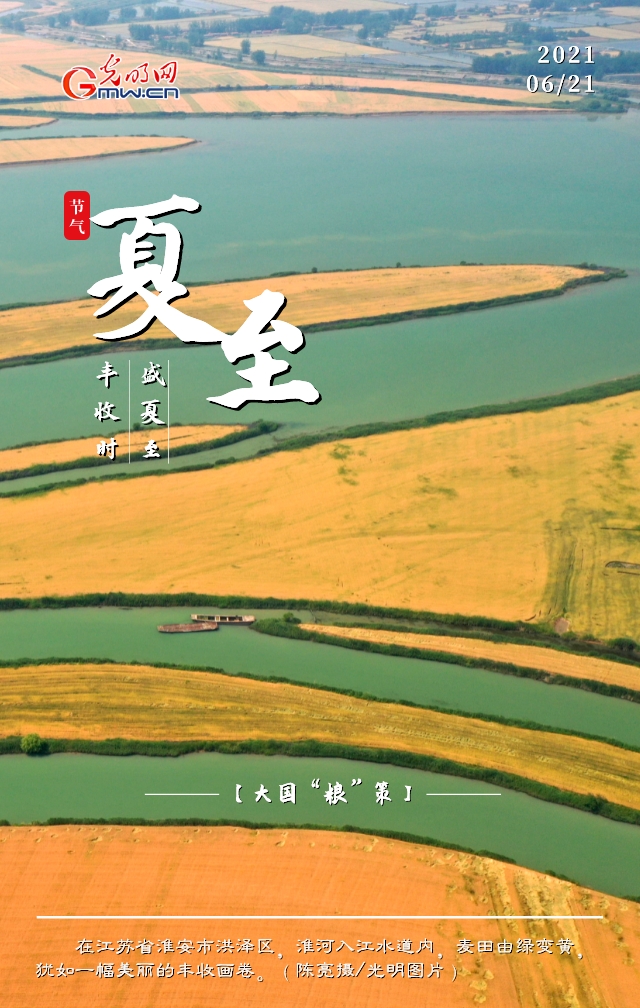 【大国“粮”策】创意海报丨盛夏至 丰收时:全国已收获小麦面积2.94亿亩 【大国“粮”策】创意海报丨盛夏至 丰收时:全国已收获小麦面积2.94亿亩