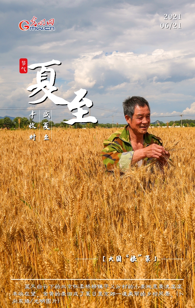 【大国“粮”策】创意海报丨盛夏至 丰收时:全国已收获小麦面积2.94亿亩 【大国“粮”策】创意海报丨盛夏至 丰收时:全国已收获小麦面积2.94亿亩