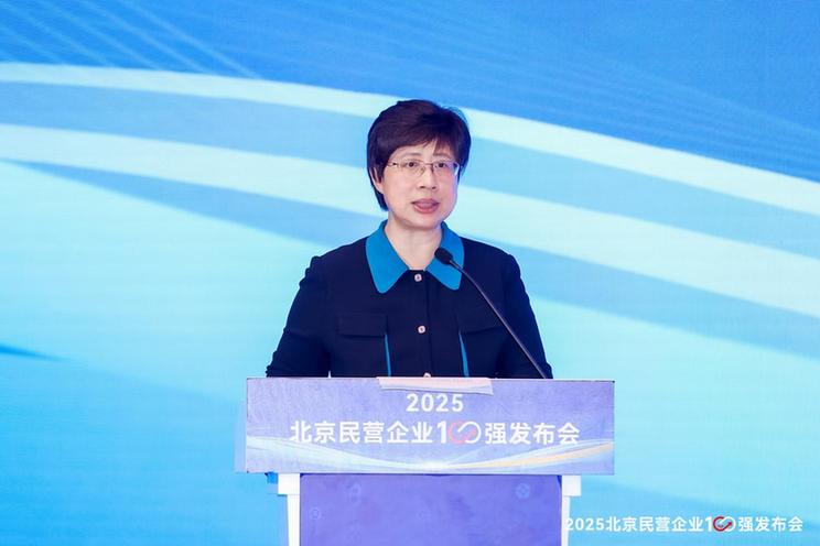 2025北京民营企业百强榜单发布