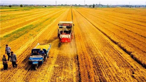 数据看中国|驾车大数据透视复工热度 网友:“春天到了 我们熟悉的生活慢慢回来了” 数据看中国|驾车大数据透视复工热度 网友:“春天到了 我们熟悉的生活慢慢回来了”