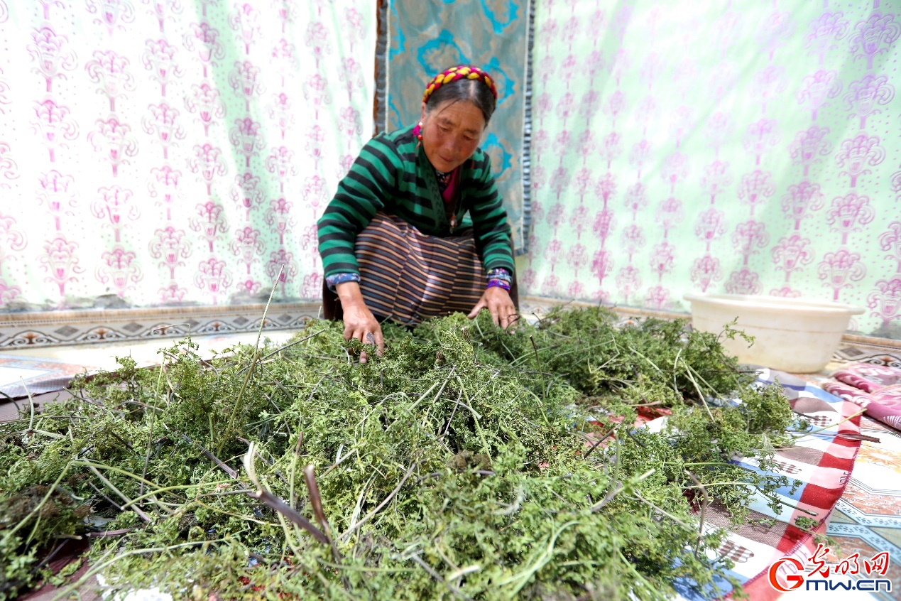 西藏山南市扎杂村：在高原住上好房子 过上好生活