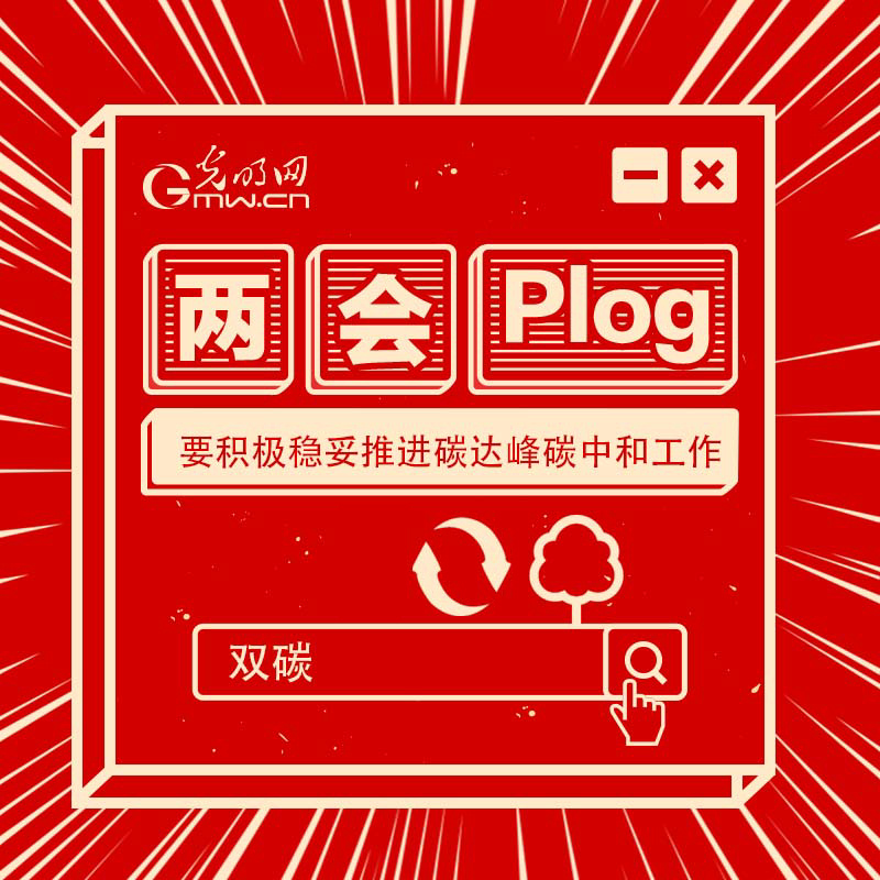 【两会Plog】实现“双碳”目标 加强生态环境治理