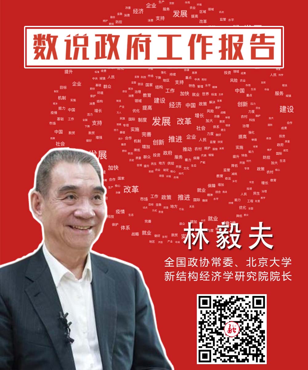 数说政府工作报告丨林毅夫委员：在新经济领域我们有“换道超车”优势