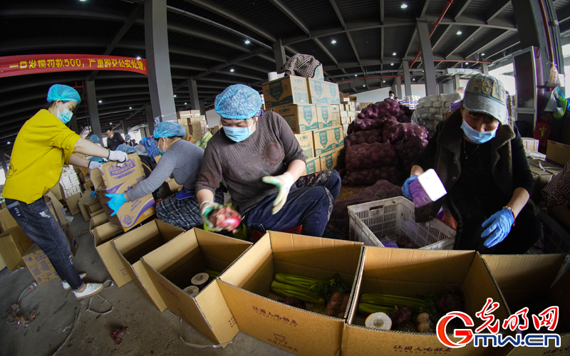 【组图】“守沪者联盟”丨浙江温州：援沪保供 “温”暖万家