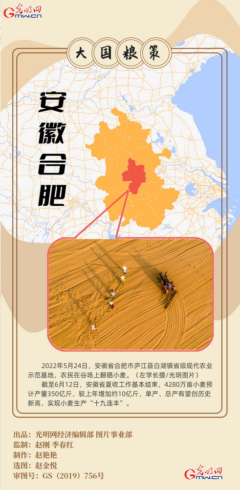 【大国“粮”策】创意海报丨全国小麦收获逾九成 又到夏粮好“丰景” 【大国“粮”策】创意海报丨全国小麦收获逾九成 又到夏粮好“丰景”
