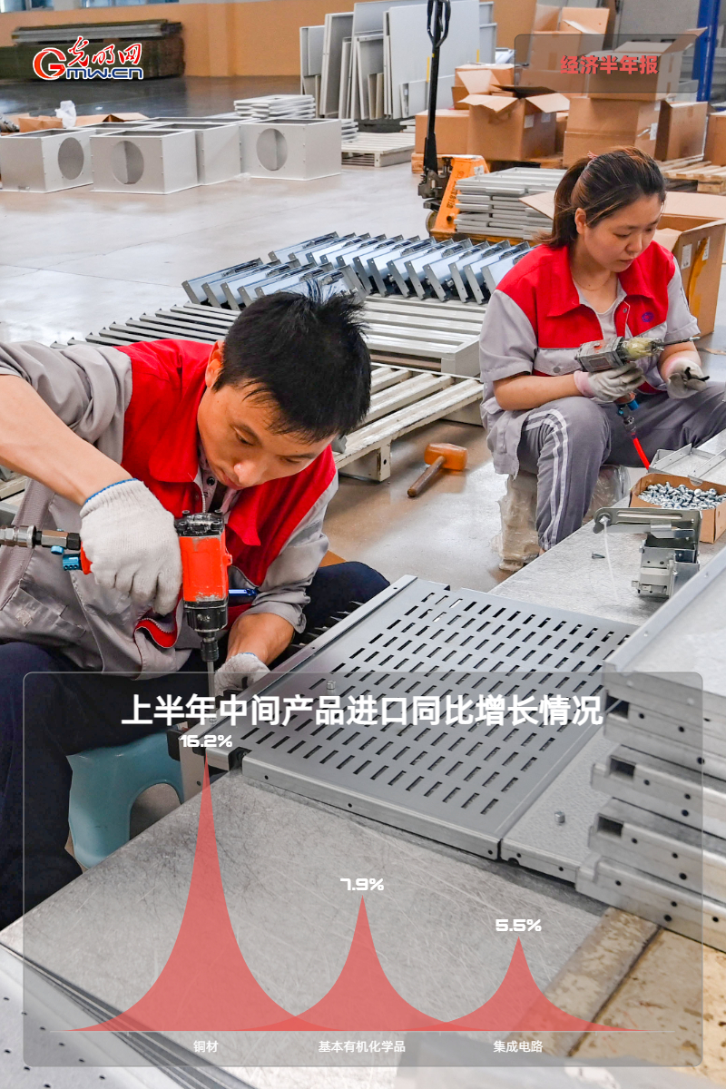 经济半年报丨【海报】我国外贸进出口已连续8个季度实现同比正增长