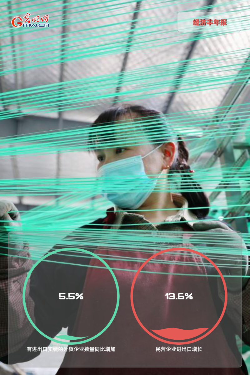 经济半年报丨【海报】我国外贸进出口已连续8个季度实现同比正增长
