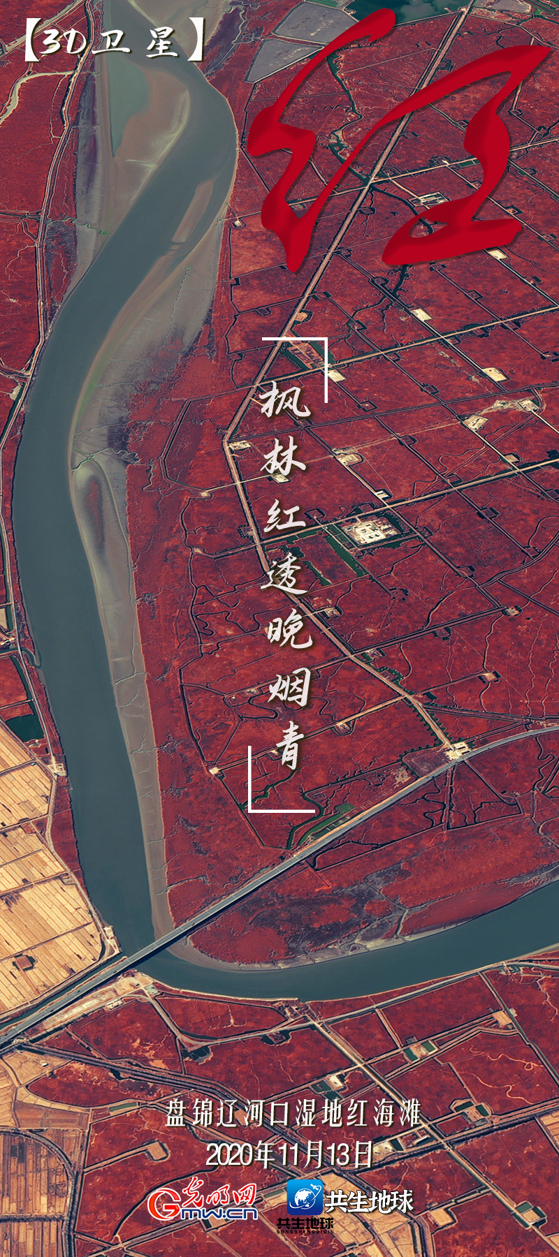 【3D卫星】多彩神州 卫星视角“瞰”湿地调色盘
