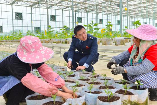 便民办税春风起 春雨润苗助春耕