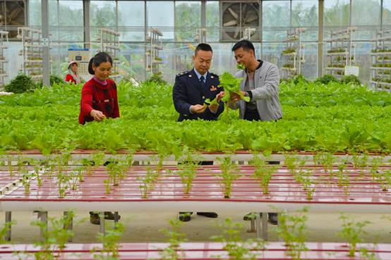 便民办税春风起 春雨润苗助春耕