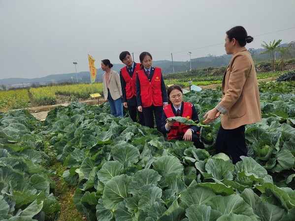 志愿服务春风暖 助企惠民正当时