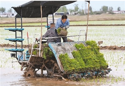 唤醒“沉睡”的耕地资源