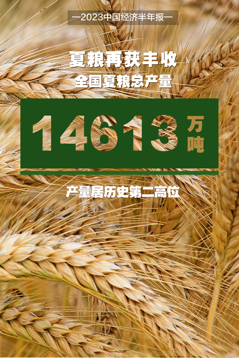 【2023中国经济半年报】十组数据看上半年中国经济澎湃活力