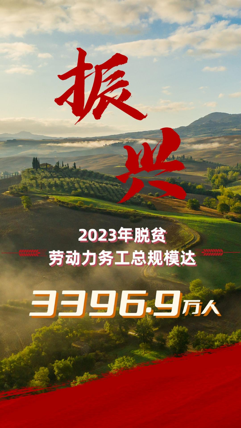 2023中国经济年报丨2023农业农村发展稳中向好 粮食生产再创新高！