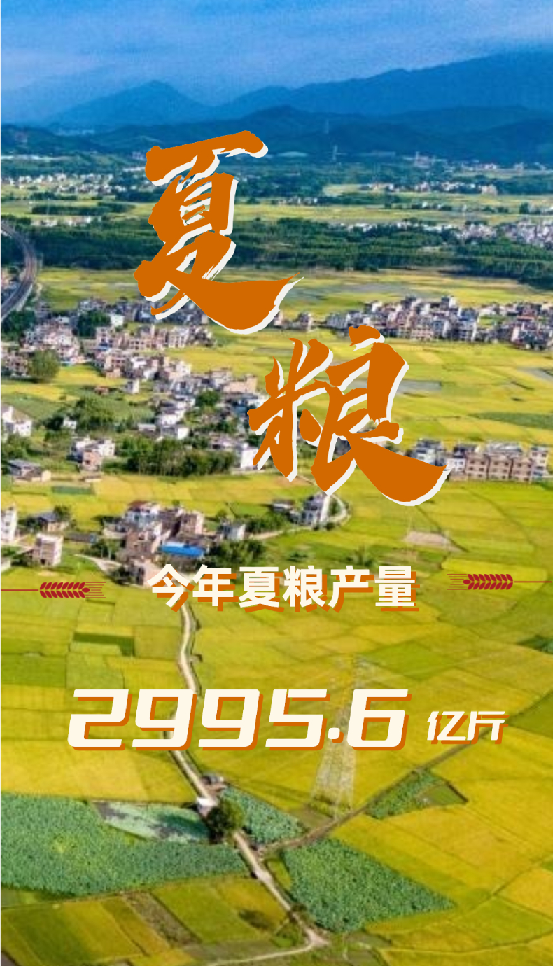 2024中国经济半年报丨全国夏粮获得丰收 农业生产总体平稳