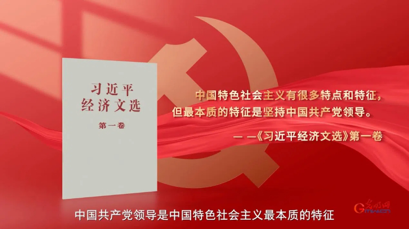 青年讲｜坚持党对经济工作的全面领导
