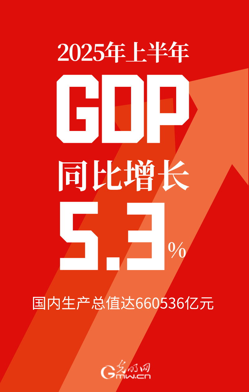 2025中国经济半年报丨GDP同比增长5.3% 我国经济发展向新向好
