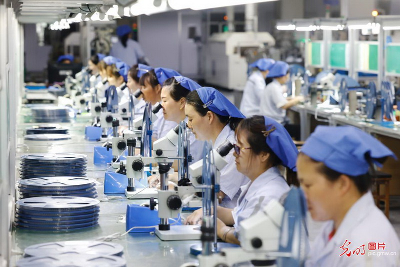 经济光明论丨2025年上半年地区经济运行呈现五大亮点 经济光明论丨2025年上半年地区经济运行呈现五大亮点