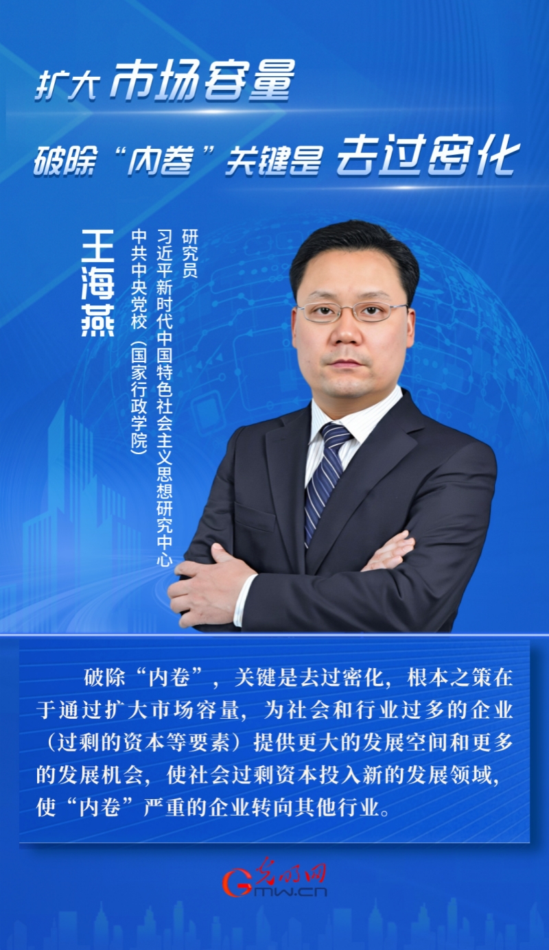 王海燕：扩大市场容量 破除“内卷”关键是去过密化