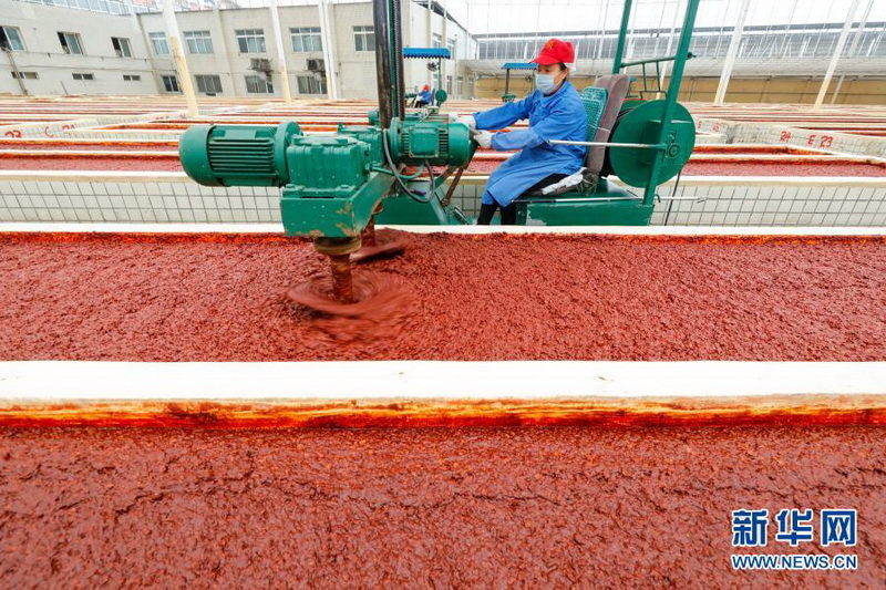 人文经济学丨“小豆瓣”撬动城乡“大融合” 人文经济学丨“小豆瓣”撬动城乡“大融合”