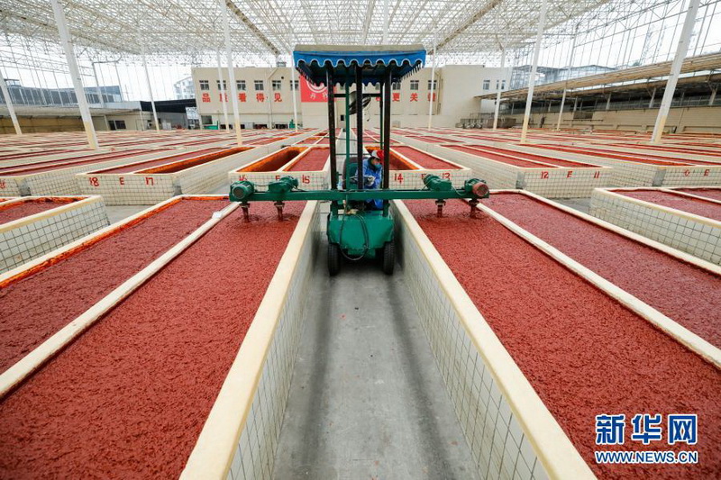 人文经济学丨“小豆瓣”撬动城乡“大融合” 人文经济学丨“小豆瓣”撬动城乡“大融合”
