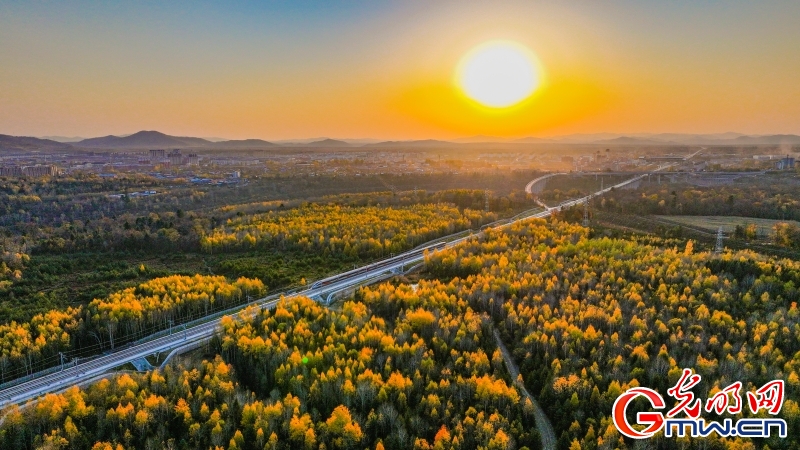 沈佳高铁沈白段开通“满月” 安全运送旅客逾66万人次 沈佳高铁沈白段开通“满月” 安全运送旅客逾66万人次