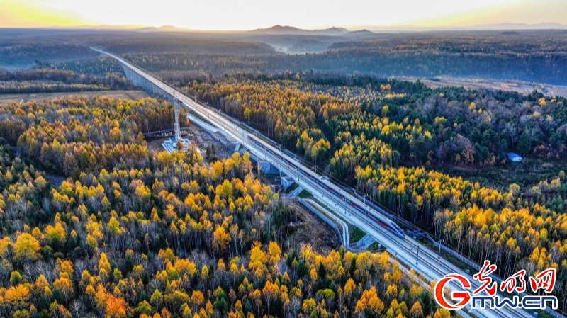 沈佳高铁沈白段开通“满月” 安全运送旅客逾66万人次 沈佳高铁沈白段开通“满月” 安全运送旅客逾66万人次