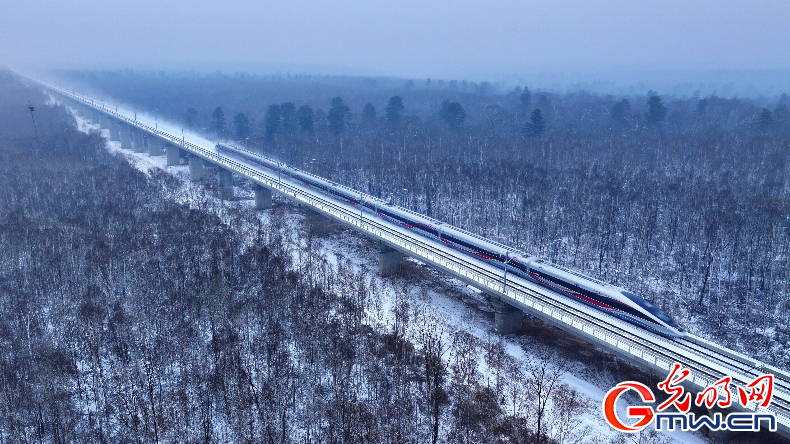 国铁沈阳局元旦假期预计发送旅客325万人次