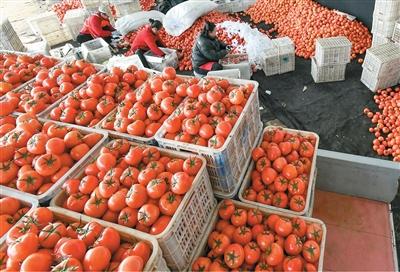 农业现代化水平不断提高