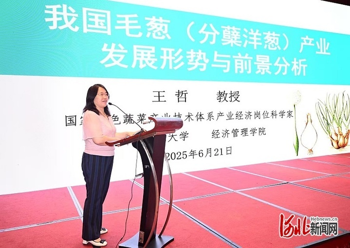 《中国特色蔬菜产业发展报告》助力河北省特色蔬菜产业高质量发展