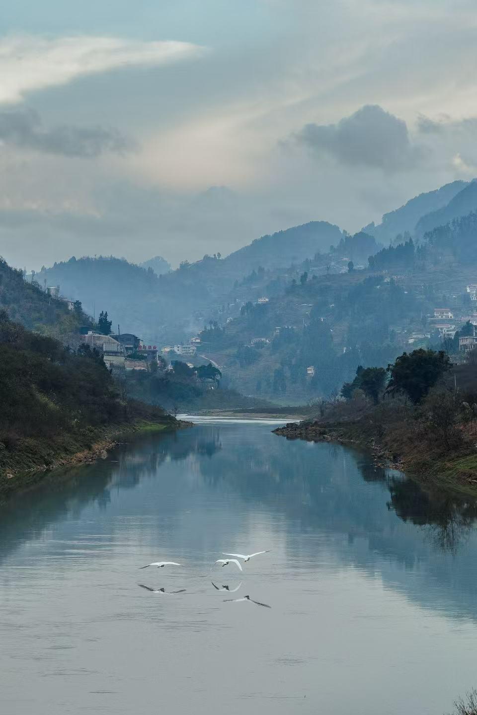 茅台的另一条“护城河”