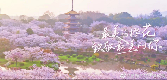 【数据新闻】数据看中国：武汉两天双清零 全球疫情不断升级 扰动全球经济