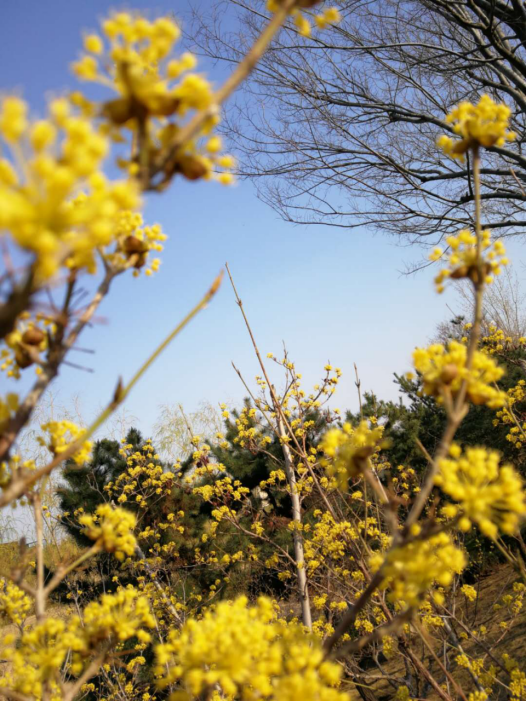 数据看全球：全球累计确诊突破150万 单日新增病例超过8万