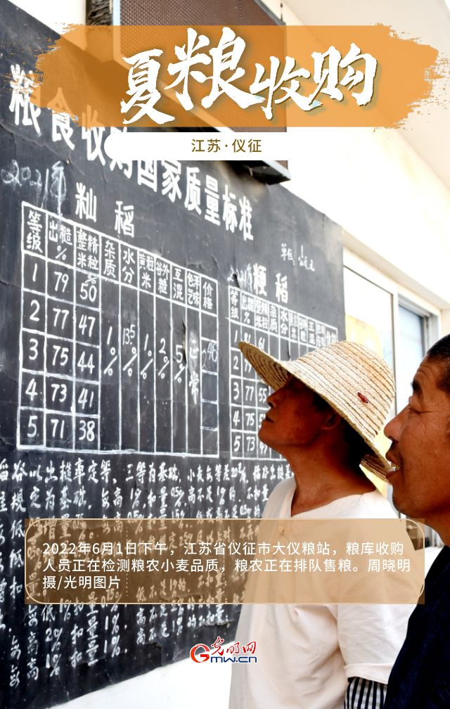 【大国“粮”策】江苏夏粮收购全面展开 小麦产量、单价较去年均有较大涨幅