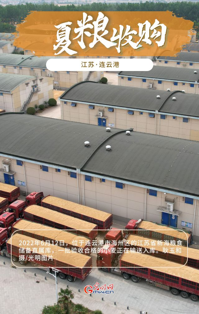 【大国“粮”策】江苏夏粮收购全面展开 小麦产量、单价较去年均有较大涨幅