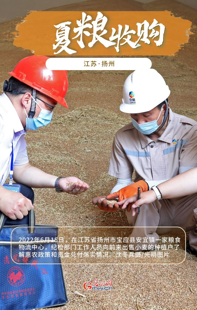 【大国“粮”策】江苏夏粮收购全面展开 小麦产量、单价较去年均有较大涨幅