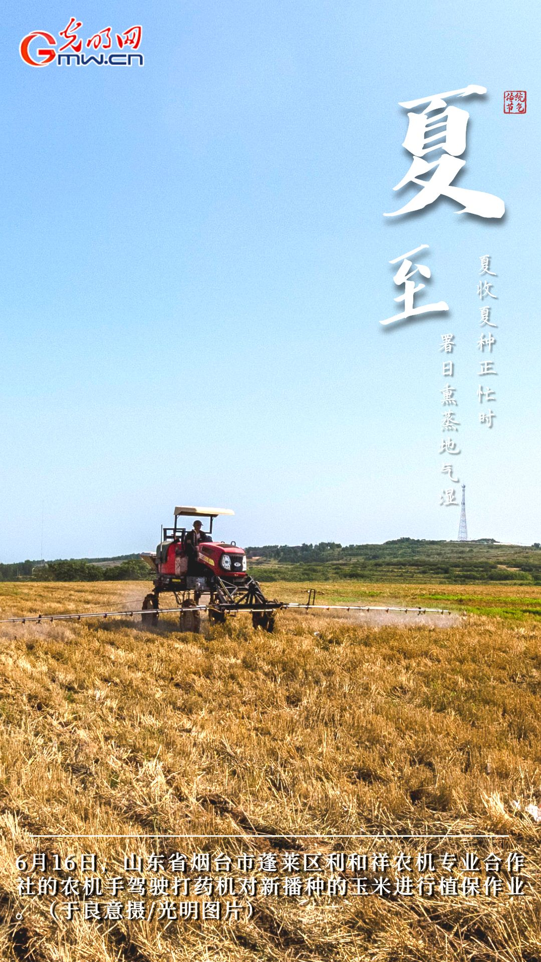 【大国“粮”策】创意海报丨今日夏至：稻花香里说丰年