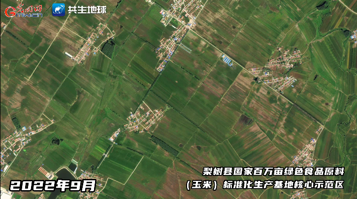 【卫星瞰丰收】吉林“黄金玉米带”收获在望 【卫星瞰丰收】吉林“黄金玉米带”收获在望