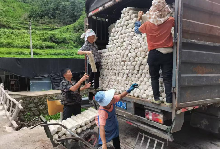 驻村帮扶调研丨一支不可或缺的力量