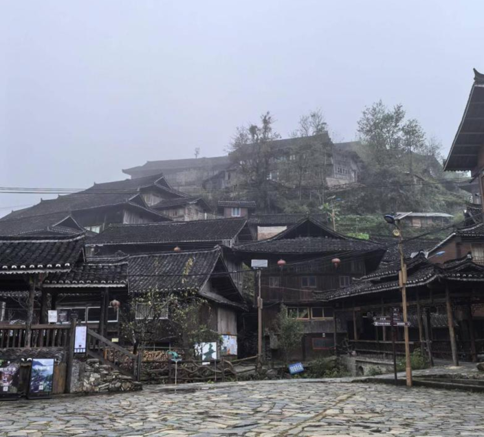 驻村帮扶调研丨一支不可或缺的力量