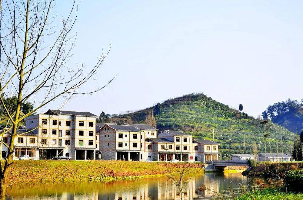 驻村帮扶调研丨扎根桔橙沃野 绘就乡村建设美丽蓝图