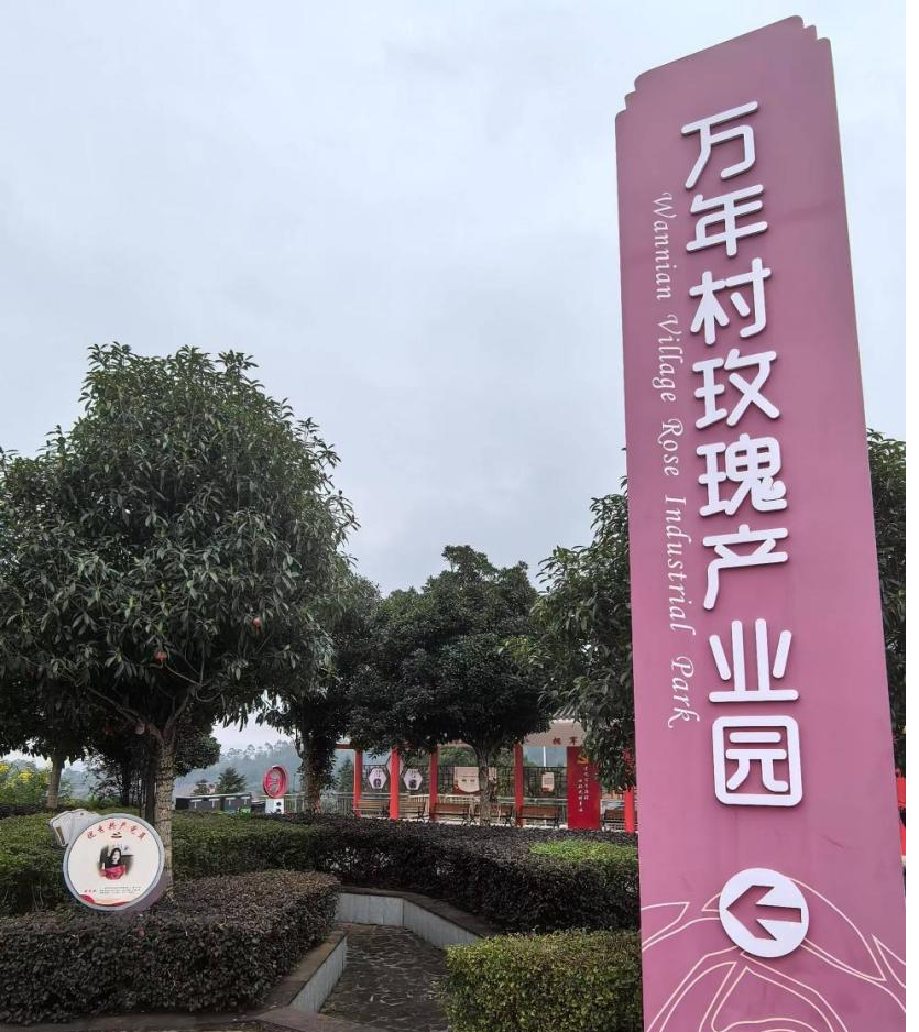 驻村帮扶调研丨扎根桔橙沃野 绘就乡村建设美丽蓝图