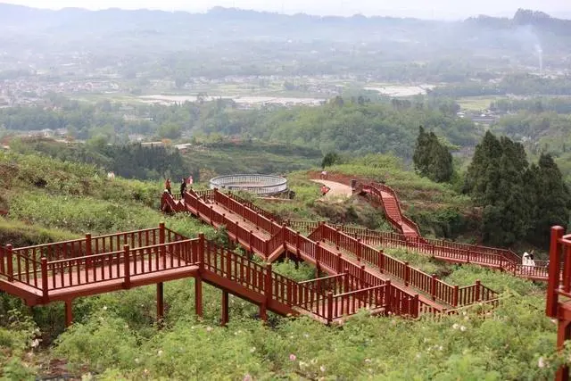 驻村帮扶调研丨扎根桔橙沃野 绘就乡村建设美丽蓝图